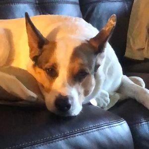 Meet your Posher, Nina